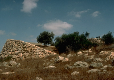 Japanese Modernism4.jpg